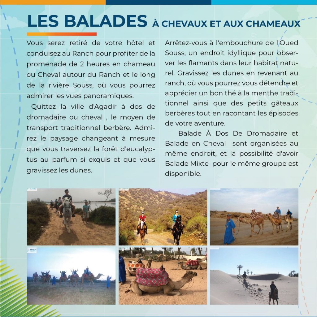 balade à cheval ou en chameau à agadir